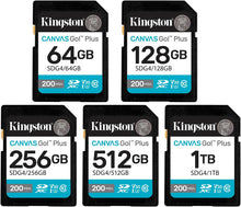 Load image into Gallery viewer, Kingston SDXC Canvas Go Plus (SDG4) Flash Memory Card 64GB 128GB 256GB 512GB 1TB